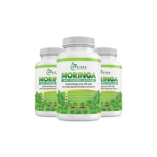 Immunity Shield Maintaining Optimal Health with MARINGA